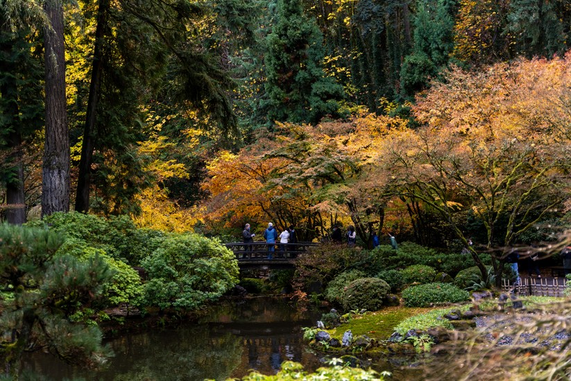 image of Portland Japanese Garden. _DSC6711.jpg