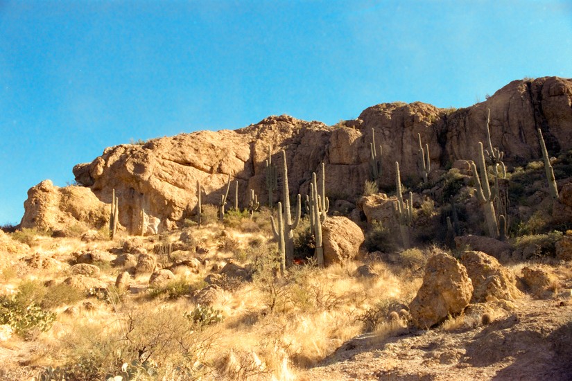image of Candido and Candido 800 and SR-T 100 and Minolta and 800 and Film. DSC00268-positive.jpg