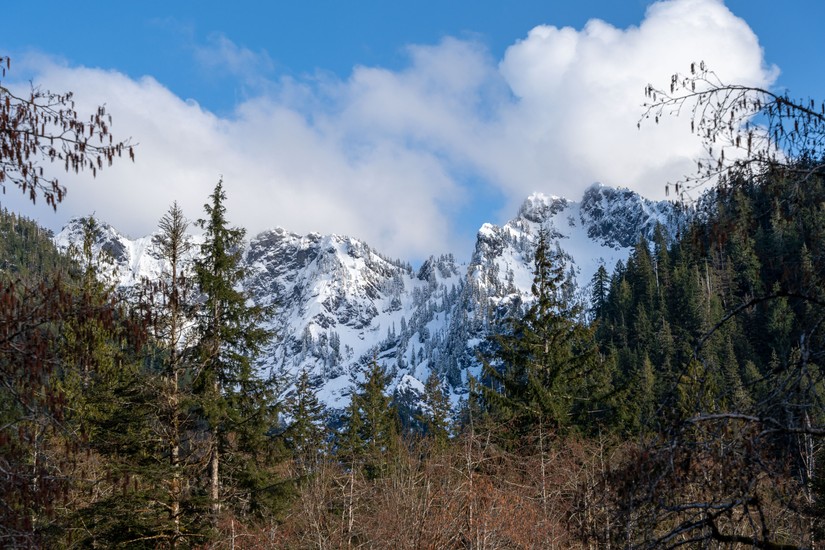 image of landscape and winter. DSC03401.jpg