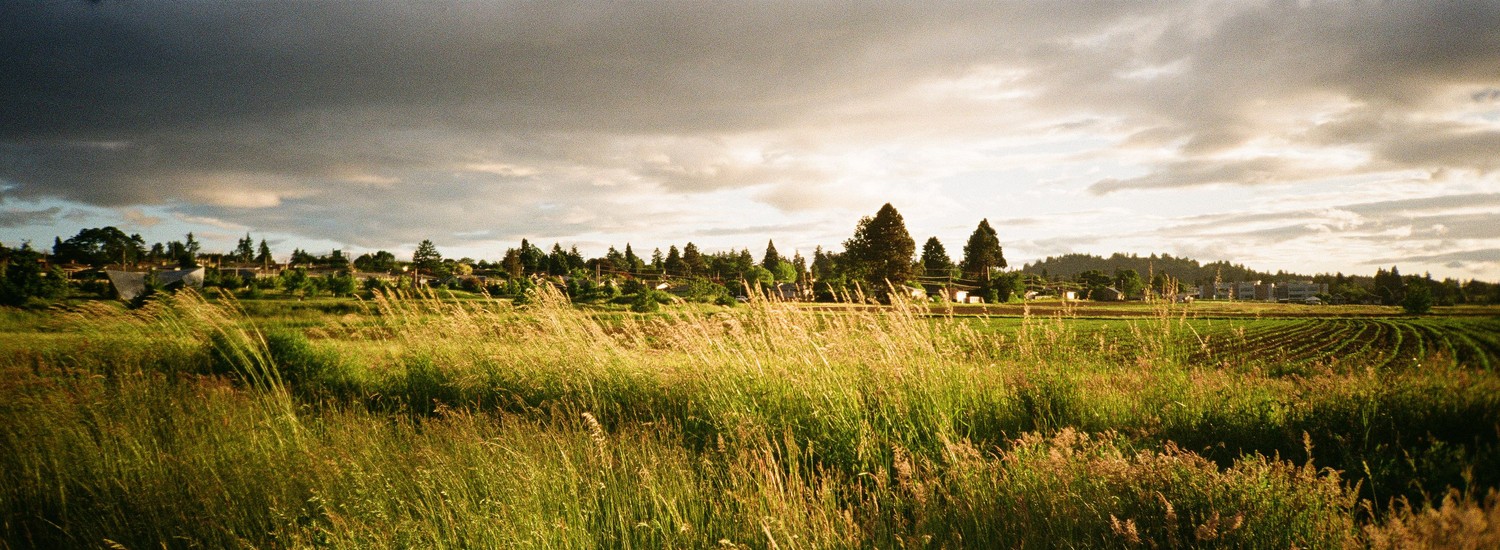 image of Film and panoramic. Scan101825.jpg
