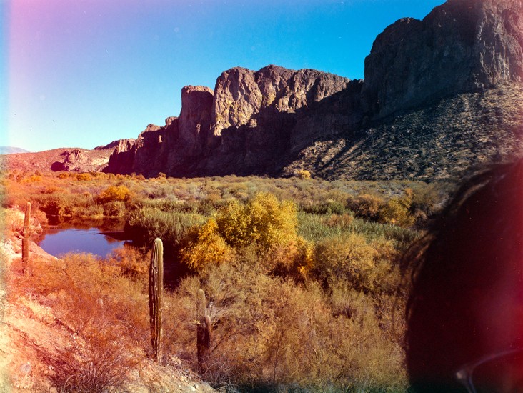 image of Intrepid and 400 and 4x5 Mk V and Portra 400 and Film and Negative Lab Pro and Portra. DSC00241-positive.jpg