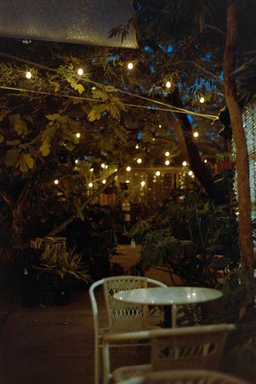 image of 160 and SR-T 100 and Kodak Portra and Minolta and Film and Portra 160. DSC00398-positive.jpg