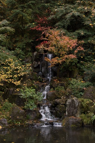 image of Portland Japanese Garden and waterfall. _DSC6771.jpg
