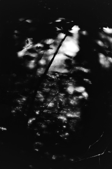 image of Film and Negative Lab Pro. DSC00103-positive.jpg