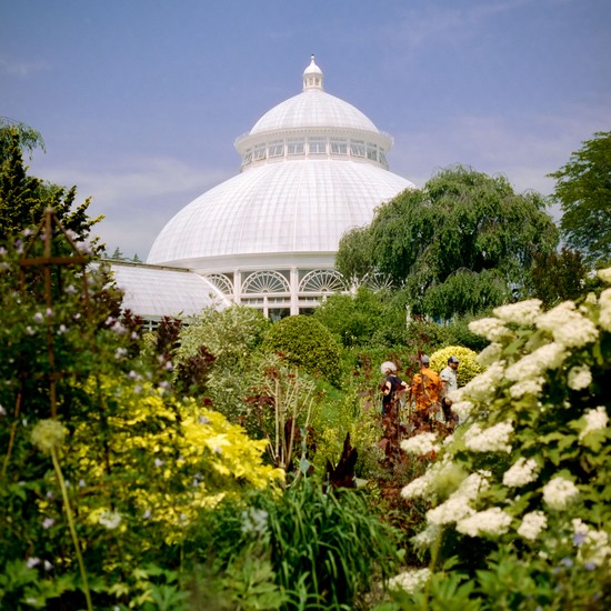 image of 50D and Cinestill and 6x6 and Planar 80mm f/2.8 and Zeiss and Cinestill 50D and 500C and Negative Lab Pro and Film and Hasselblad. DSC06848-positive.jpg