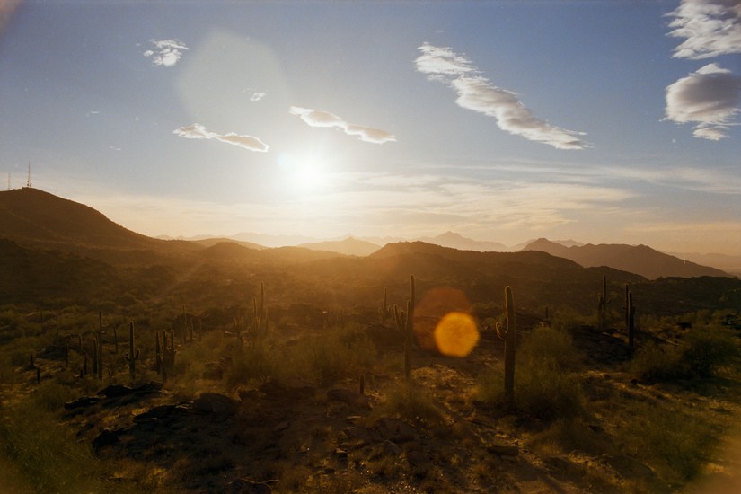 image of Kodak Portra and 160 and SR-T 100 and Film and Minolta and Negative Lab Pro and Portra 160. 20241226-DSC00384-positive.jpg