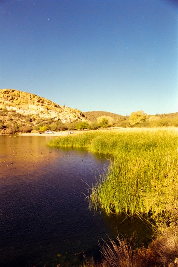 image of SR-T 100 and 200 and Minolta and Film and Kodak Gold. DSC00314-positive.jpg