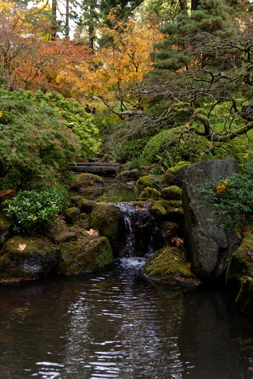 image of Portland Japanese Garden and waterfall. _DSC6766.jpg
